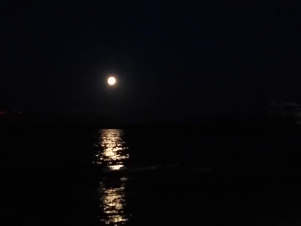 Ηλιάνα Αντωνίου
